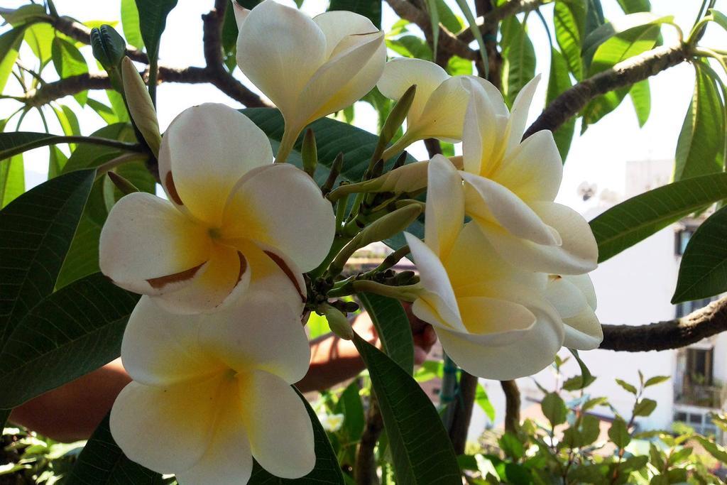 أغريجنتو B&B La Pomelia المظهر الخارجي الصورة
